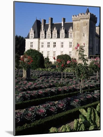 Gardens, Chateau De Villandry, Indre-Et-Loire, Loire Valley, Centre, France-Guy Thouvenin-Mounted Photographic Print
