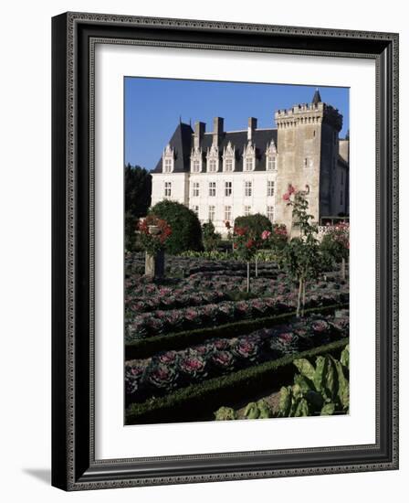 Gardens, Chateau De Villandry, Indre-Et-Loire, Loire Valley, Centre, France-Guy Thouvenin-Framed Photographic Print