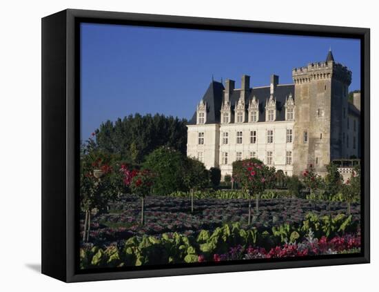 Gardens, Chateau De Villandry, Loire Valley, Centre, France, Europe-Thouvenin Guy-Framed Premier Image Canvas