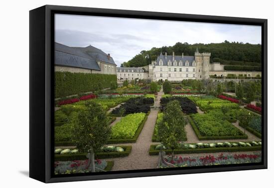 Gardens, Chateau de Villandry, UNESCO Site, Indre-Et-Loire, Touraine, Loire Valley, France-Rob Cousins-Framed Premier Image Canvas