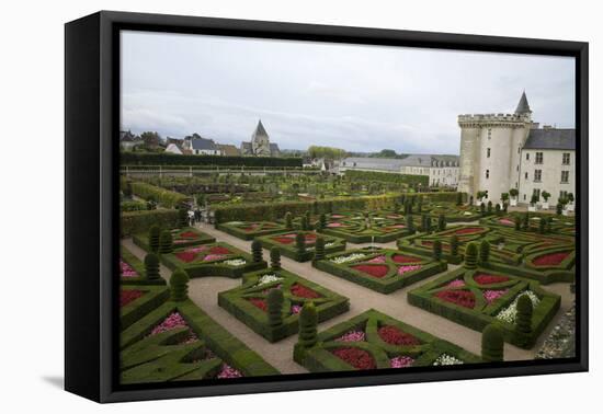 Gardens, Chateau de Villandry, UNESCO Site, Indre-Et-Loire, Touraine, Loire Valley, France-Rob Cousins-Framed Premier Image Canvas