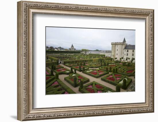 Gardens, Chateau de Villandry, UNESCO Site, Indre-Et-Loire, Touraine, Loire Valley, France-Rob Cousins-Framed Photographic Print