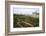 Gardens, Chateau de Villandry, UNESCO Site, Indre-Et-Loire, Touraine, Loire Valley, France-Rob Cousins-Framed Photographic Print