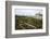 Gardens, Chateau de Villandry, UNESCO Site, Indre-Et-Loire, Touraine, Loire Valley, France-Rob Cousins-Framed Photographic Print