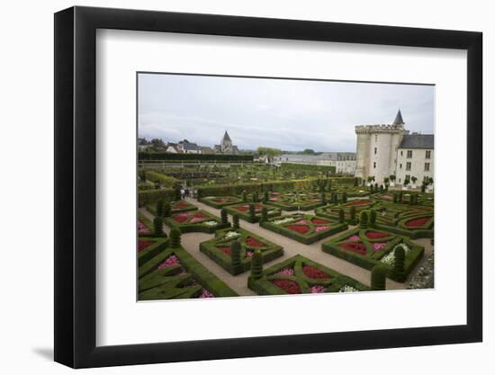 Gardens, Chateau de Villandry, UNESCO Site, Indre-Et-Loire, Touraine, Loire Valley, France-Rob Cousins-Framed Photographic Print