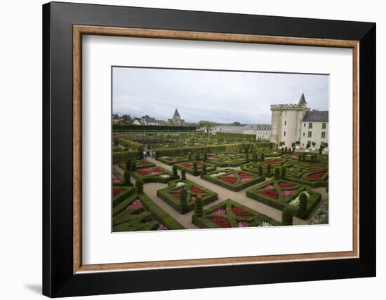 Gardens, Chateau de Villandry, UNESCO Site, Indre-Et-Loire, Touraine, Loire Valley, France-Rob Cousins-Framed Photographic Print