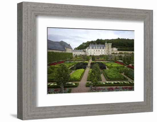 Gardens, Chateau de Villandry, UNESCO Site, Indre-Et-Loire, Touraine, Loire Valley, France-Rob Cousins-Framed Photographic Print