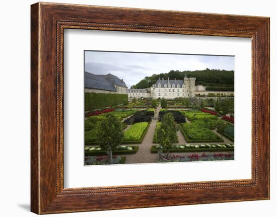 Gardens, Chateau de Villandry, UNESCO Site, Indre-Et-Loire, Touraine, Loire Valley, France-Rob Cousins-Framed Photographic Print