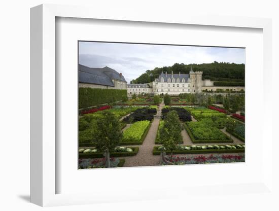 Gardens, Chateau de Villandry, UNESCO Site, Indre-Et-Loire, Touraine, Loire Valley, France-Rob Cousins-Framed Photographic Print