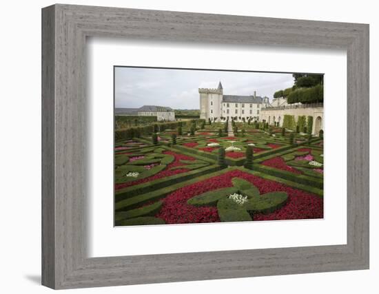 Gardens, Chateau de Villandry, UNESCO Site, Indre-Et-Loire, Touraine, Loire Valley, France-Rob Cousins-Framed Photographic Print