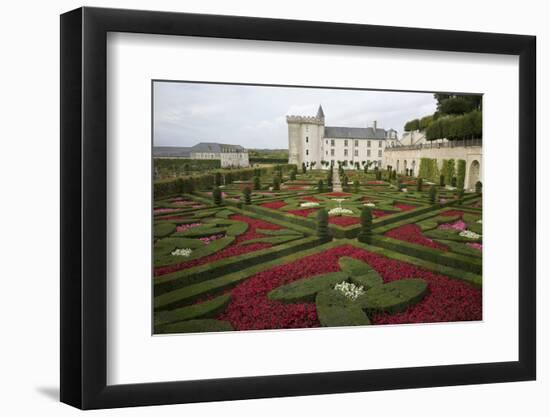 Gardens, Chateau de Villandry, UNESCO Site, Indre-Et-Loire, Touraine, Loire Valley, France-Rob Cousins-Framed Photographic Print