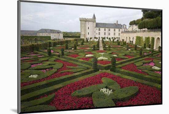 Gardens, Chateau de Villandry, UNESCO Site, Indre-Et-Loire, Touraine, Loire Valley, France-Rob Cousins-Mounted Photographic Print