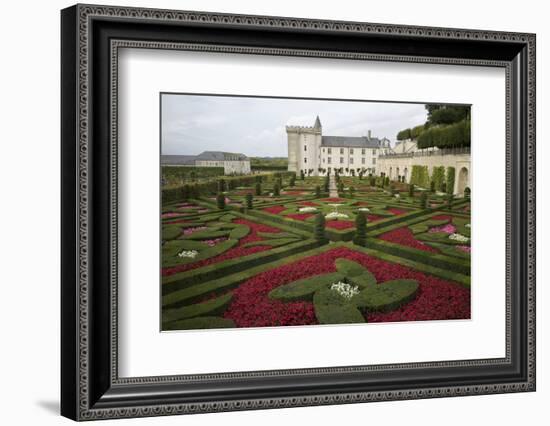 Gardens, Chateau de Villandry, UNESCO Site, Indre-Et-Loire, Touraine, Loire Valley, France-Rob Cousins-Framed Photographic Print