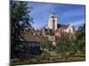 Gardens, Houses and the Cathedral of Dole in Franche-Comte, France, Europe-Woolfitt Adam-Mounted Photographic Print