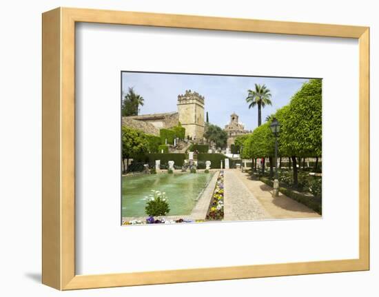 Gardens in Alcazar, Cordoba, Andalucia, Spain, Europe-Peter Barritt-Framed Photographic Print