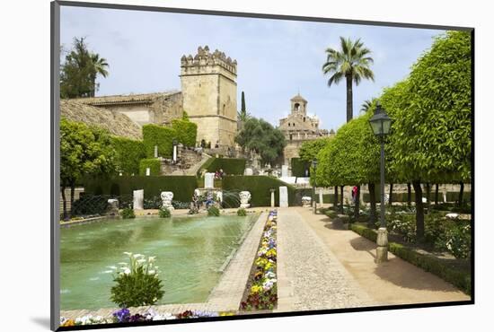 Gardens in Alcazar, Cordoba, Andalucia, Spain, Europe-Peter Barritt-Mounted Photographic Print