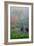 Gardens in the Fog I-Brian Moore-Framed Photographic Print