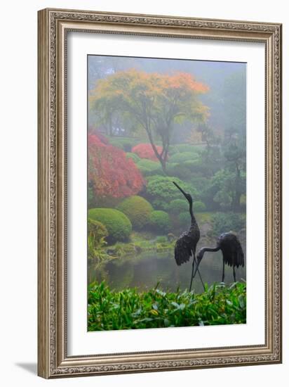 Gardens in the Fog I-Brian Moore-Framed Photographic Print