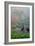 Gardens in the Fog I-Brian Moore-Framed Photographic Print