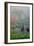 Gardens in the Fog I-Brian Moore-Framed Photographic Print