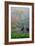 Gardens in the Fog I-Brian Moore-Framed Photographic Print