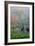 Gardens in the Fog I-Brian Moore-Framed Photographic Print