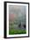 Gardens in the Fog I-Brian Moore-Framed Photographic Print