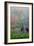 Gardens in the Fog I-Brian Moore-Framed Photographic Print