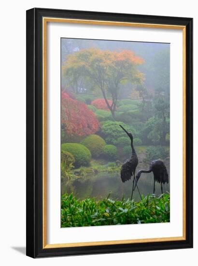 Gardens in the Fog I-Brian Moore-Framed Photographic Print