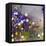Gardens in the Mist IX-Aleah Koury-Framed Stretched Canvas