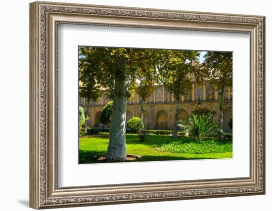 Gardens of Golestan Palace, UNESCO World Heritage Site, Tehran, Iran, Middle East-James Strachan-Framed Photographic Print