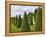 Gardens of Versailles-Rudy Sulgan-Framed Premier Image Canvas