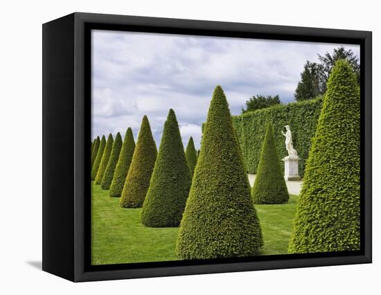 Gardens of Versailles-Rudy Sulgan-Framed Premier Image Canvas