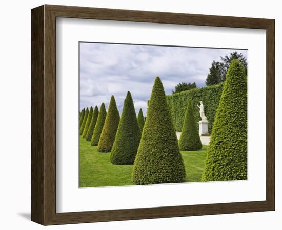 Gardens of Versailles-Rudy Sulgan-Framed Photographic Print