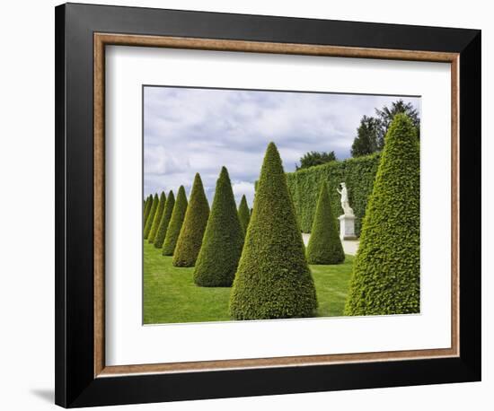 Gardens of Versailles-Rudy Sulgan-Framed Photographic Print