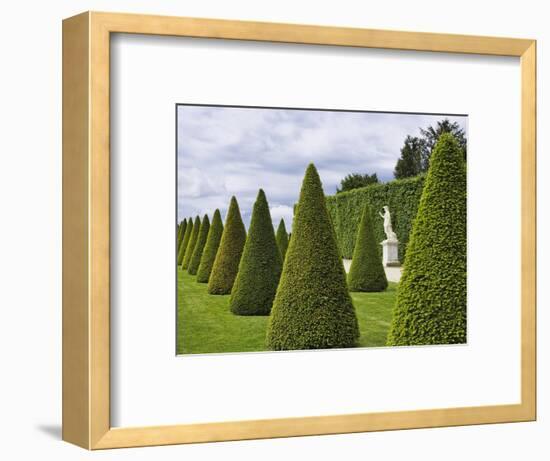 Gardens of Versailles-Rudy Sulgan-Framed Photographic Print