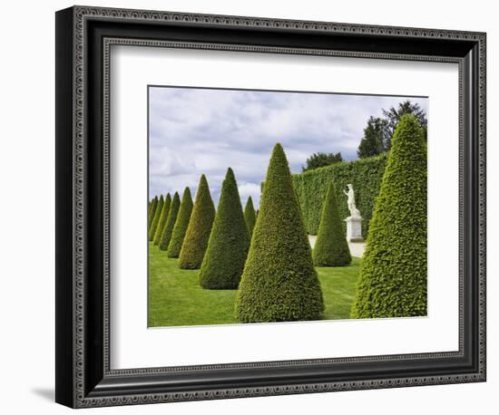 Gardens of Versailles-Rudy Sulgan-Framed Photographic Print