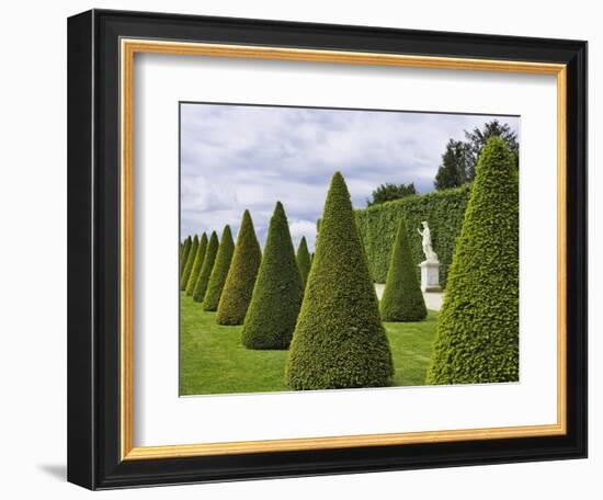 Gardens of Versailles-Rudy Sulgan-Framed Photographic Print