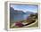 Gardens of Villa Melzi, Bellagio, Lake Como, Lombardy, Italian Lakes, Italy, Europe-Peter Barritt-Framed Premier Image Canvas