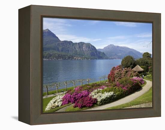 Gardens of Villa Melzi, Bellagio, Lake Como, Lombardy, Italian Lakes, Italy, Europe-Peter Barritt-Framed Premier Image Canvas