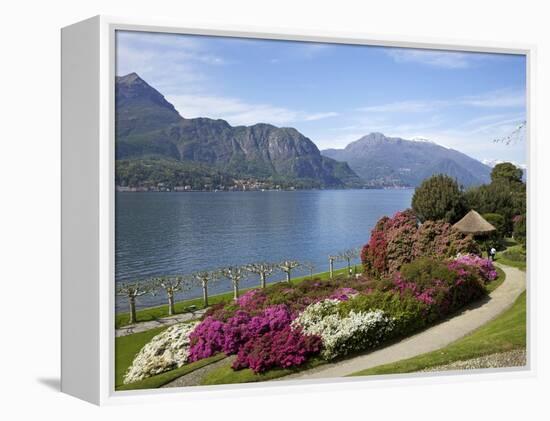 Gardens of Villa Melzi, Bellagio, Lake Como, Lombardy, Italian Lakes, Italy, Europe-Peter Barritt-Framed Premier Image Canvas