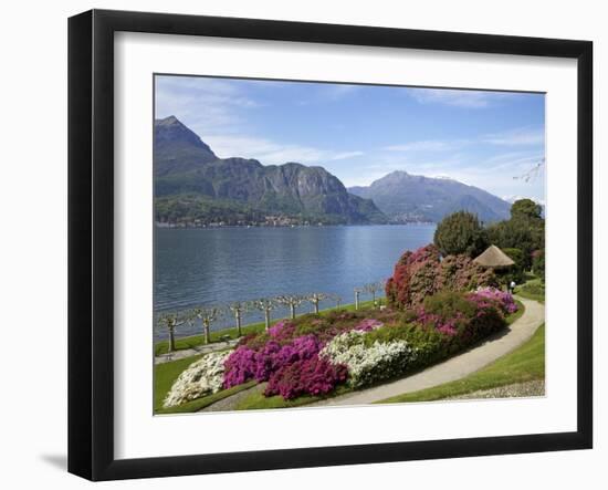 Gardens of Villa Melzi, Bellagio, Lake Como, Lombardy, Italian Lakes, Italy, Europe-Peter Barritt-Framed Photographic Print