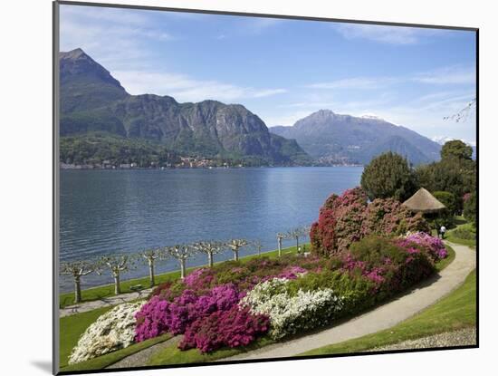 Gardens of Villa Melzi, Bellagio, Lake Como, Lombardy, Italian Lakes, Italy, Europe-Peter Barritt-Mounted Photographic Print