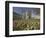 Gardens on East Side of Bath Abbey-Jonathan Hicks-Framed Photographic Print