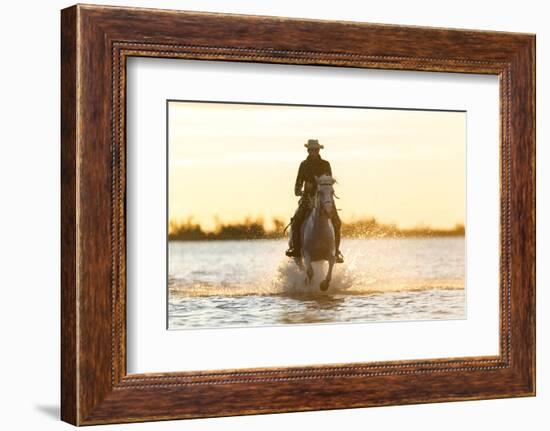 Gardian, Cowboy and Horseman of the Camargue, Camargue, France-Peter Adams-Framed Photographic Print