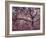 Gardiners Island-Alfred Eisenstaedt-Framed Photographic Print