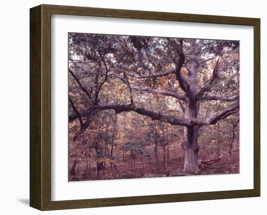 Gardiners Island-Alfred Eisenstaedt-Framed Photographic Print