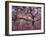 Gardiners Island-Alfred Eisenstaedt-Framed Photographic Print