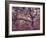 Gardiners Island-Alfred Eisenstaedt-Framed Photographic Print