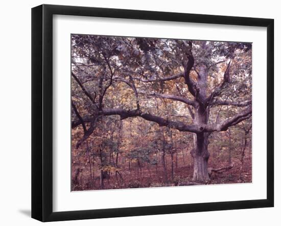 Gardiners Island-Alfred Eisenstaedt-Framed Photographic Print